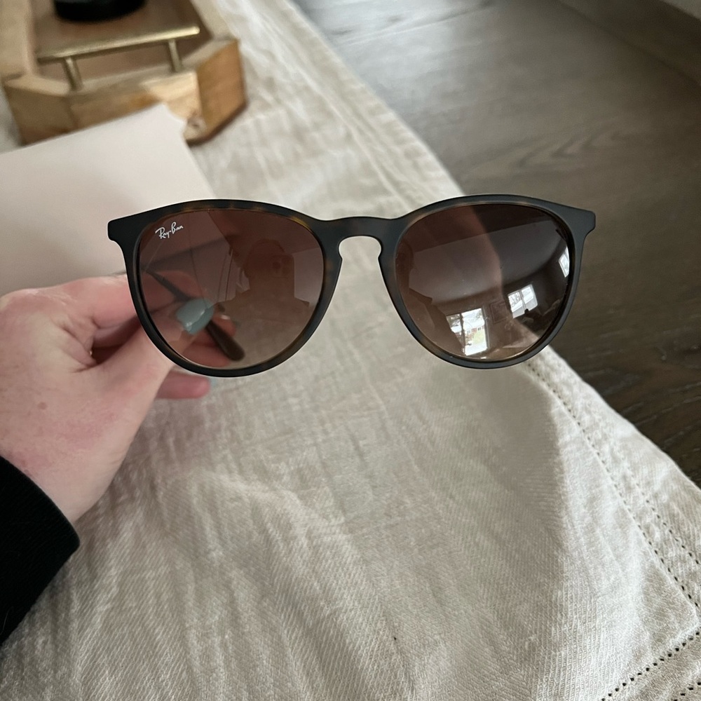 Ray-Ban Erika Sunglasses